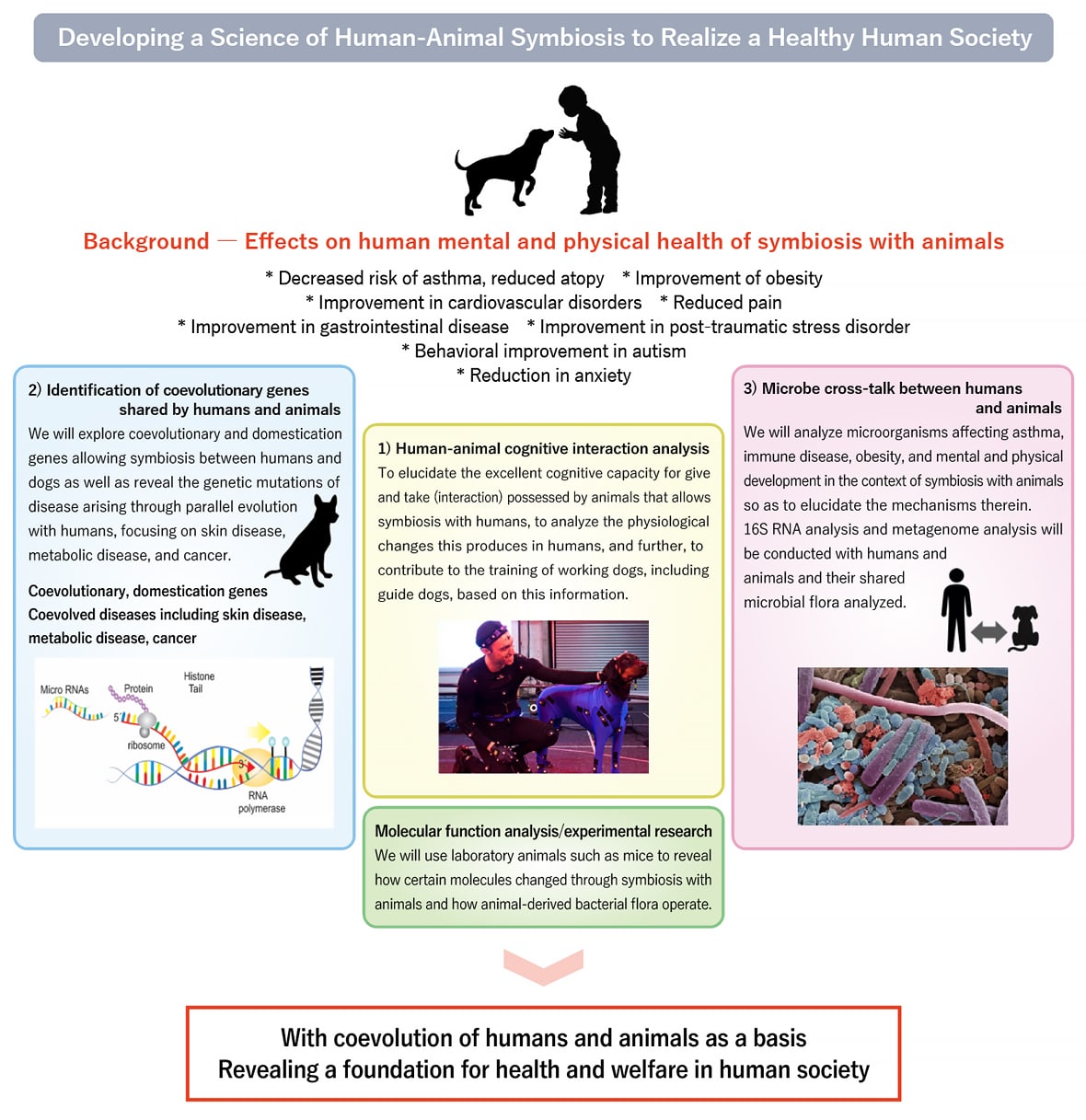 Developing a Science of Human-Animal Symbiosis to Realize a Healthy Human Society